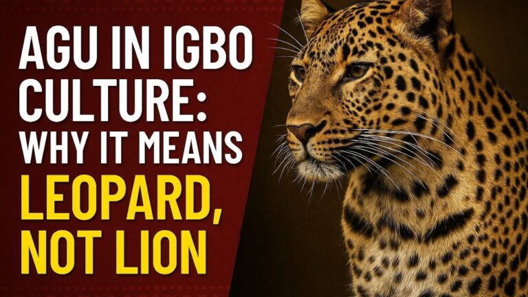 Why the Leopard (Not Lion) Reigns in Igbo Traditional Beliefs